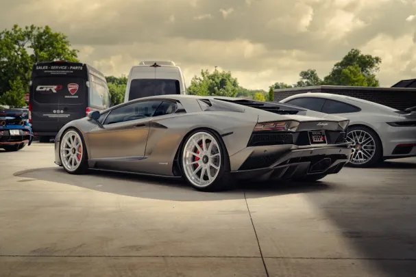 Dolly Casino Aip Android/iOS